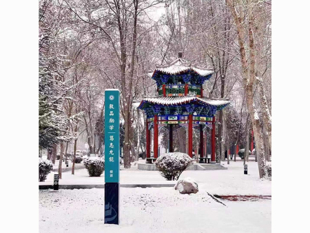 蘭州自建小院景觀