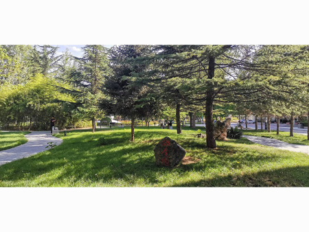 甘肅廣場(chǎng)公園景觀綠化