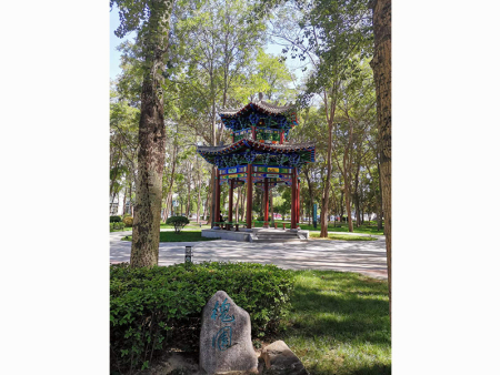甘肅園林景觀