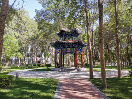 甘肅自建小院景觀