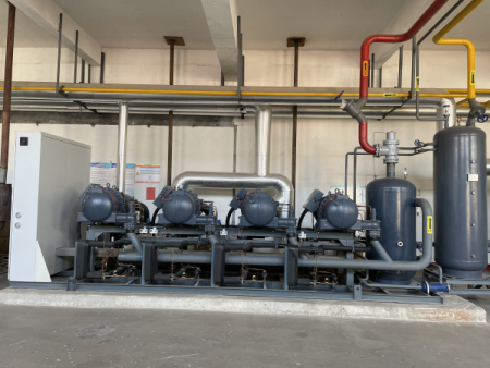 銘泰食品胡蘿卜預冷庫項目