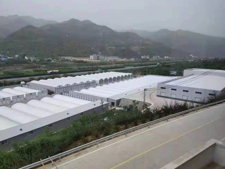 愛爾蘭大棚建設(shè)