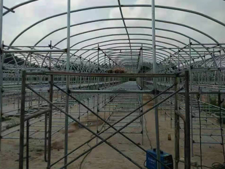 愛爾蘭大棚建設(shè)