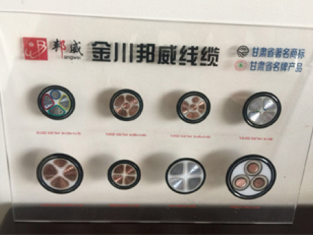 邦威電纜