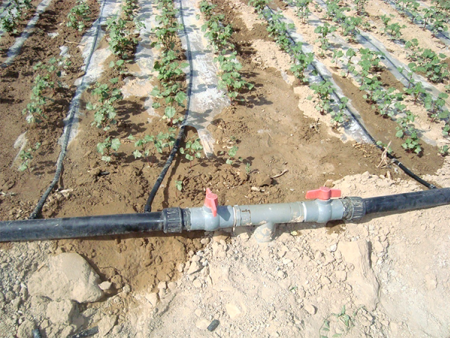 農田滴灌管工程正常運行