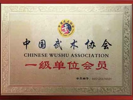中国武术协会单位会员