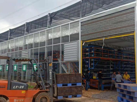 湖南聚丰农业适应4.5M玻璃大棚的苗床项目