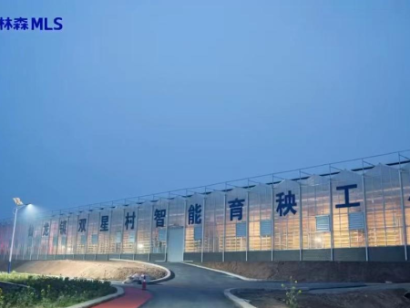 重庆永川区仙龙镇智能育秧工厂项目补光场景