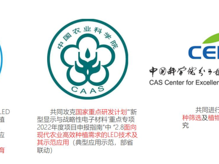 核心能力与技术优势