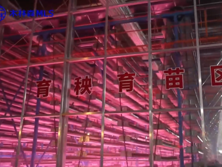 重庆永川仙龙镇育秧项目(1)