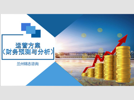 运营方案（财务预测与分析）