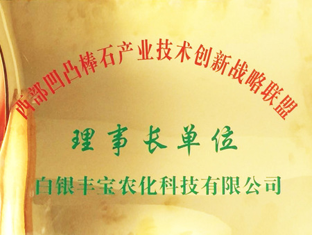 西部凹凸棒石產(chǎn)技術(shù)創(chuàng)新戰(zhàn)略聯(lián)盟 理事長單位