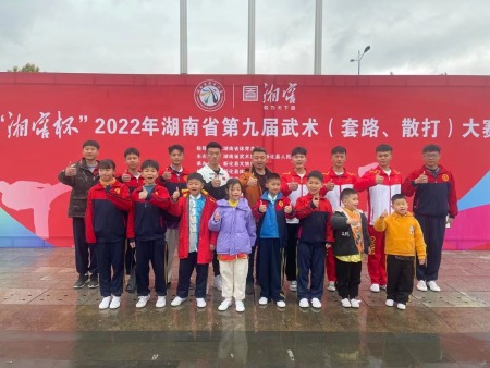 2022年湖南省第九届武术套路、散打大赛