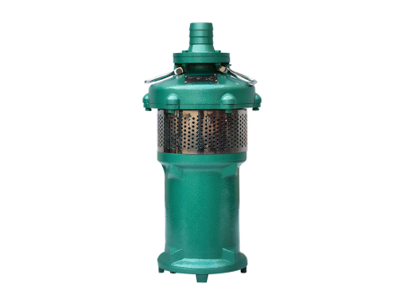 QY小型全揚(yáng)程潛水電泵