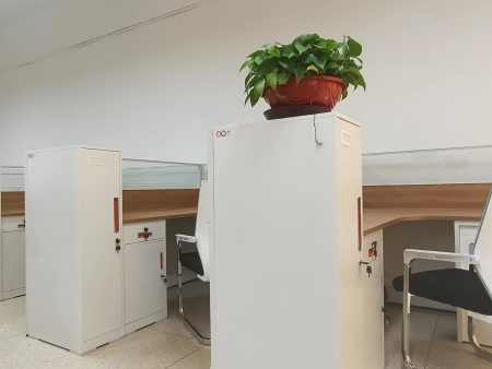 案例展示