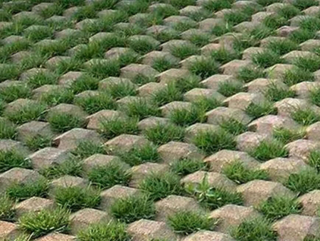 兰州植草砖