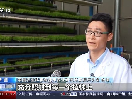 沙漠温室种水稻！中国科学家完成“不可能完成的任务”
