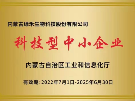 科技型中小企業(yè)