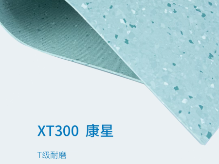 XT300 康星產品上架！有需要可以聯系我們！