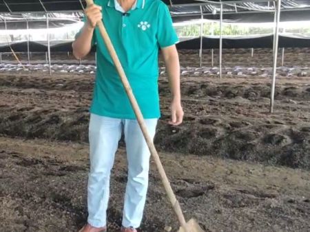 廣西種植甘蔗如何選擇化肥？廣西有機(jī)肥廠家推薦！