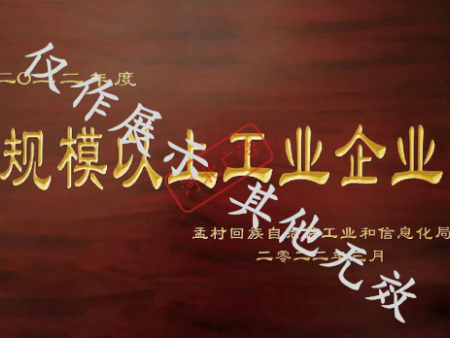 规模以上工业企业