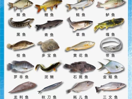 微信图片_20240902103417