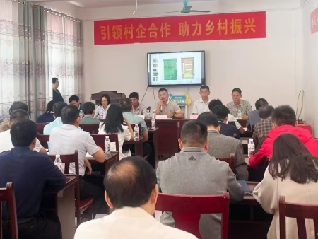 大新县政协在广西大华肥业有限公司召开“村企合作 助力乡村振兴”企业走访座谈会