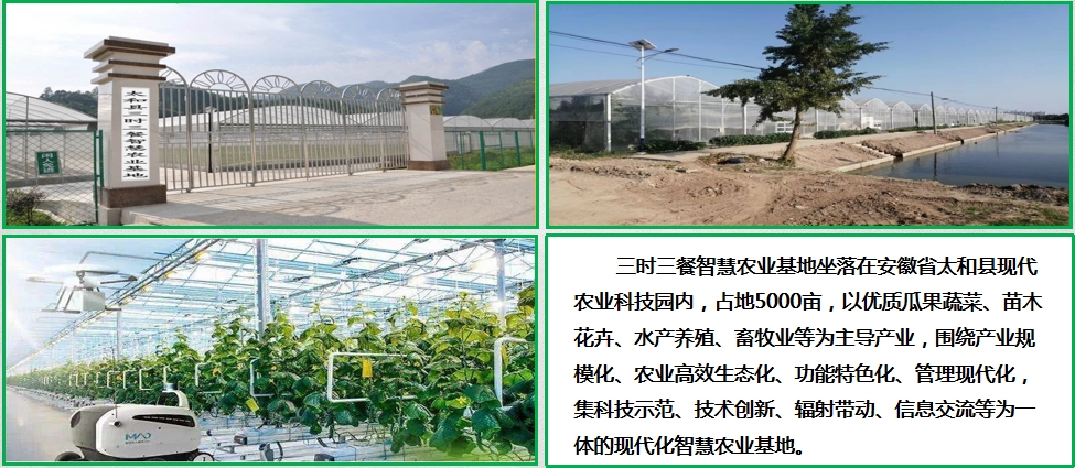 智慧农业基地
