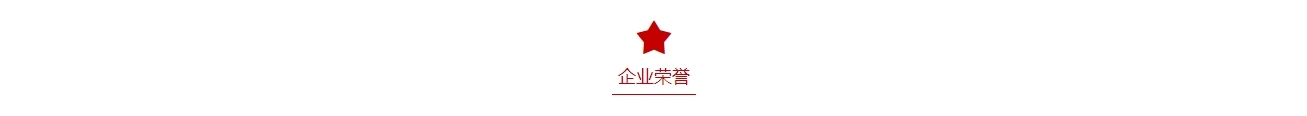 企业荣誉