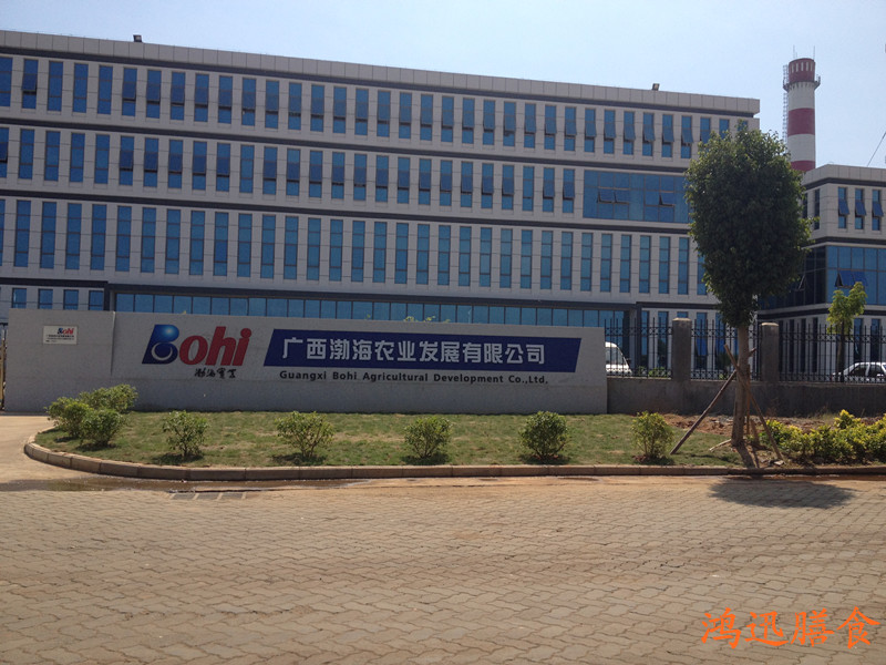 图片01