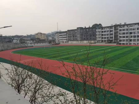 四川宜賓沐愛鎮(zhèn)第二中學(xué)1