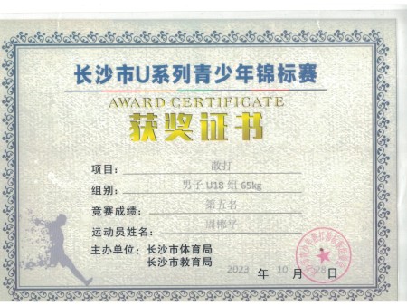 长沙市U系列青少年锦标赛荣誉证书