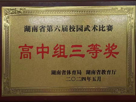 湖南省第六届校园武术比赛高中组三等奖