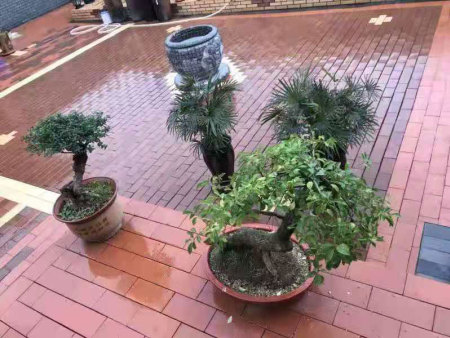 臨洮農(nóng)家小院1
