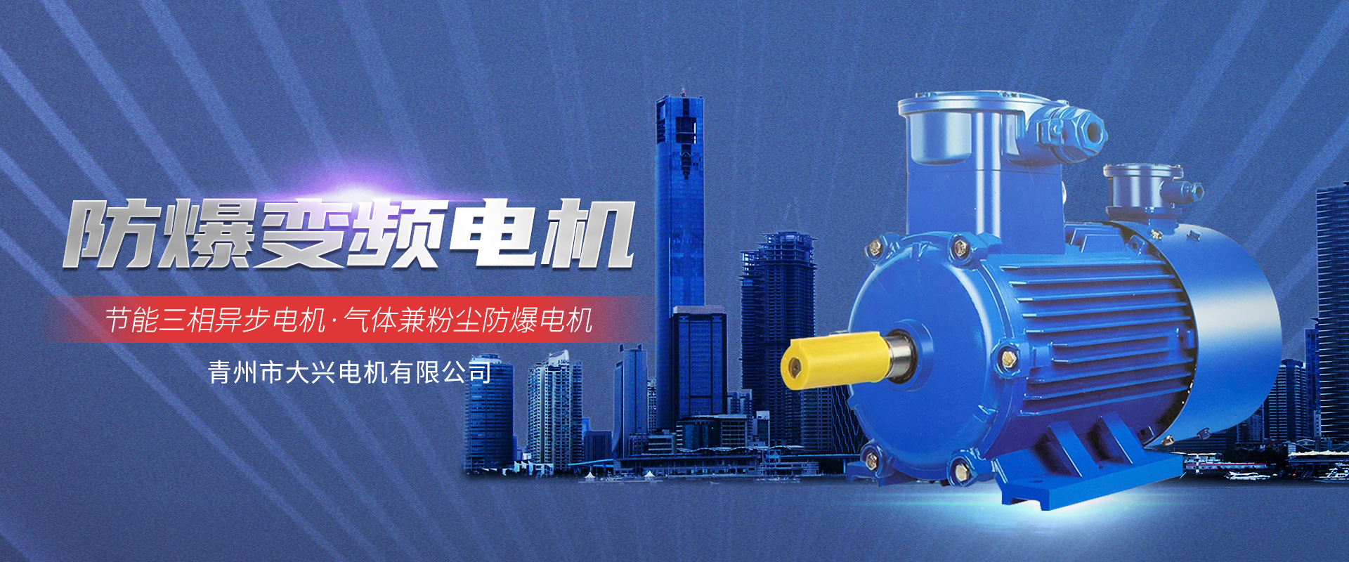 青州市大兴电机有限公司