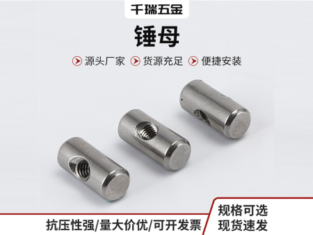 不锈钢横孔螺母锤仔螺母插销螺母圆柱螺母锤头螺母预埋件连接锤母