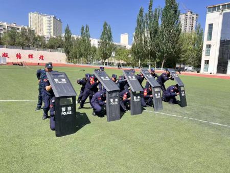 青海保安服务公司到底能做啥？这些服务你可能真需要  ​  　　