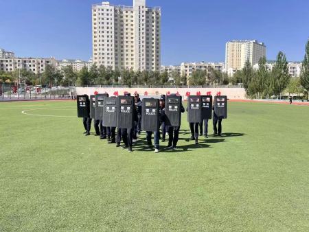 青海随身警卫服务，专业护航人身财产安全