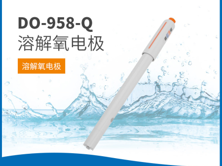 DO-958-Q溶解氧電極