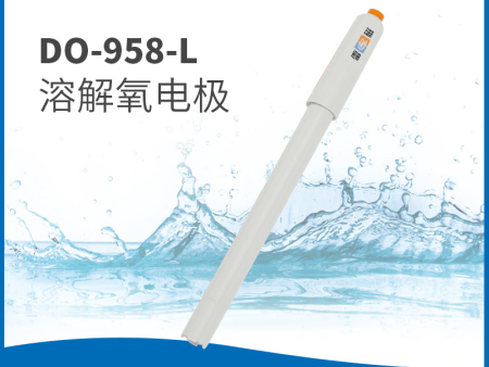 DO-958-L溶解氧電極