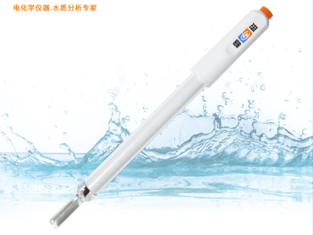 DJS-0.1CF型電導電極