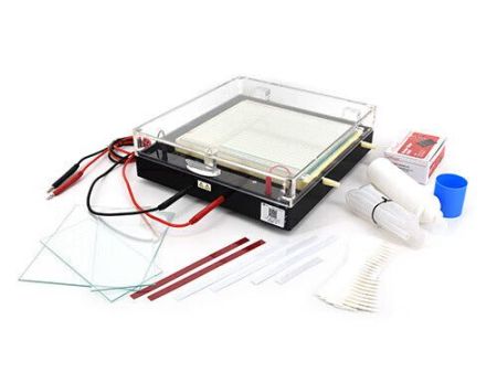 六一 DYCP-44P型快速凝膠電泳儀