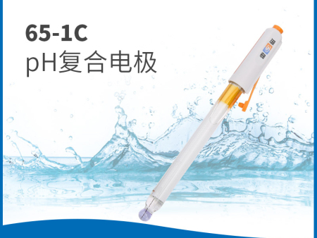 65-1CpH复合电极