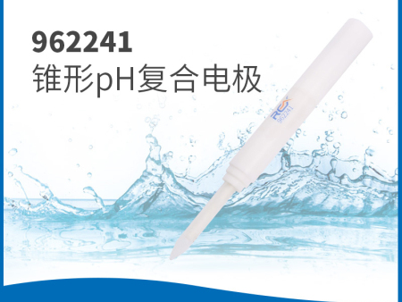 962241锥形pH复合电极