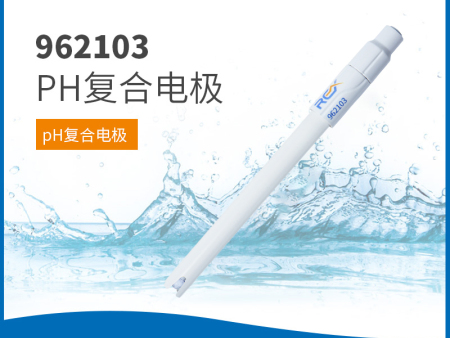 962103开放式pH复合电极