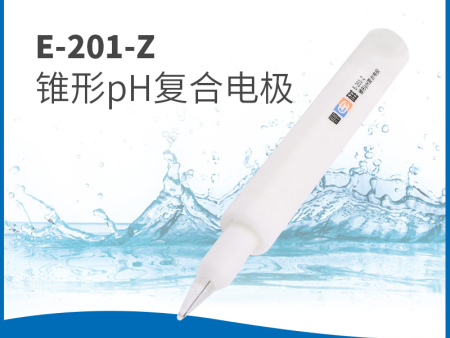E-201-Z锥形 pH复合电极