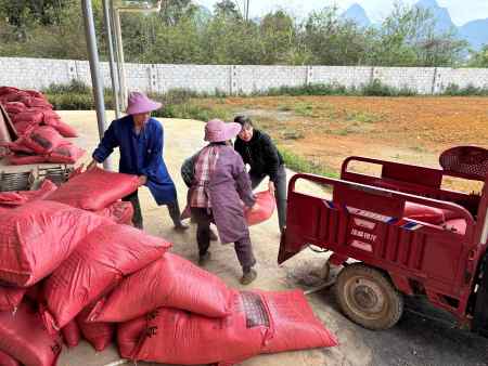 新春游园添喜气，爱心助农暖人心