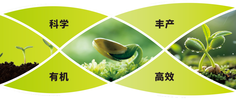 有机肥的特点及其在现代农业中的沉要作用