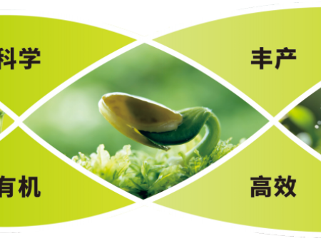 有机肥的特点及其在现代农业中的重要作用