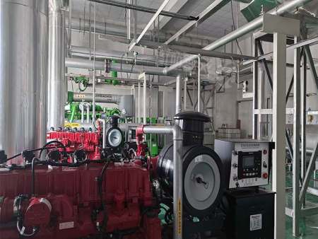 多功率机组SCR脱硝 一站式全流程服务